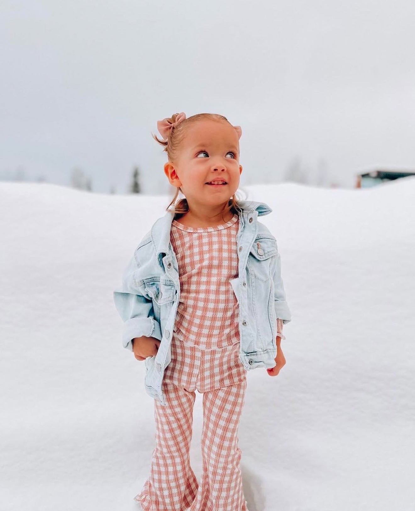 Blush Gingham